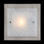 Накладной светильник Constanta CL813-01-W